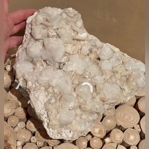 Massive 5kg Museum Quality Statement Piece- Apophyllite with Stilbite, India